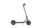 Ninebot Segway E-Scooter F30 Plus Schwarz Ninebot Segway E-Scooter F30 Plus Schwarz