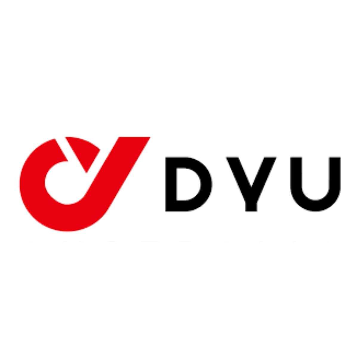 DYU E-Bike