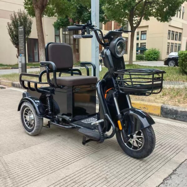 Kukirin G2 Pro Ladegerät altes Version (Rund bukse) EQUICKEY T5 Seniorenfahrzeug 25 km/h