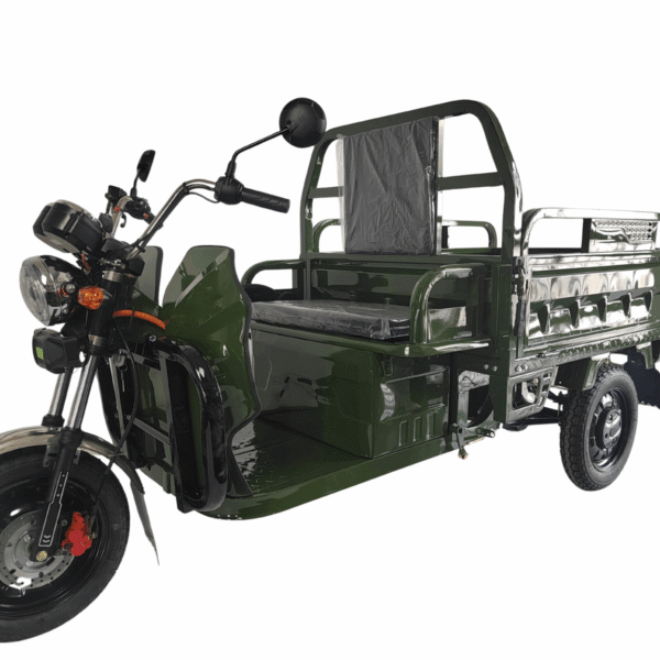 elektrotuktuk giardino ptt25