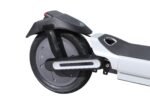 MS Energy Mentor 500 (2026)